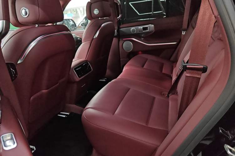 Used Tank 700 New Energy 2024 Hi4-T Extreme Edition Left Rear Seat