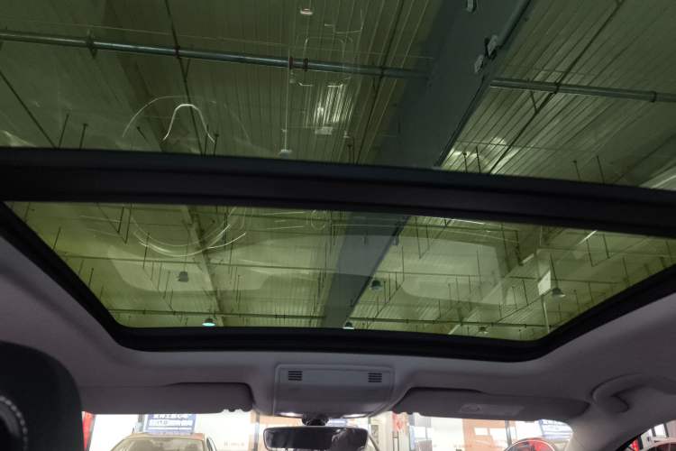 Used Volkswagen Magotan 2020 330TSI DSG Luxury Edition