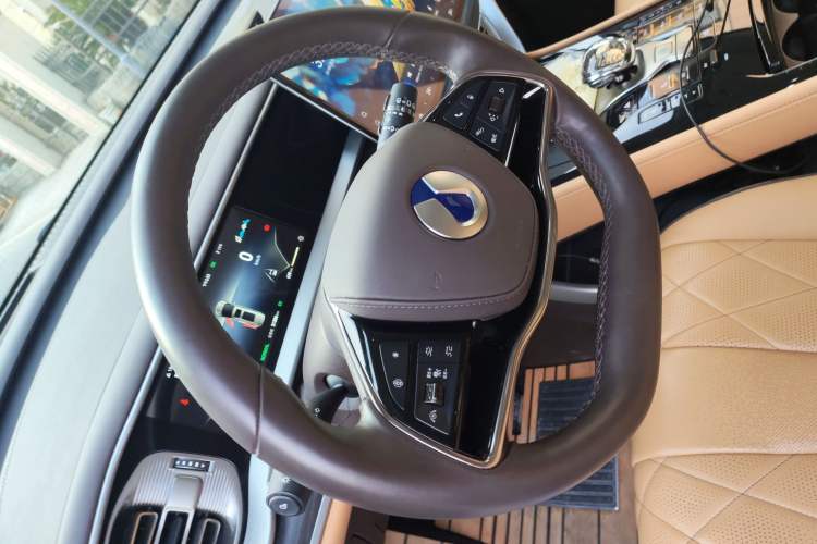 Used Denza D9 2024 DM-i 980 Four-Wheel Drive Prestige Model
