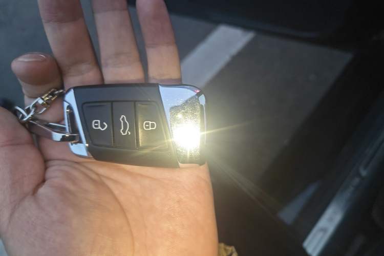 Used Volkswagen Magotan 2019 330TSI DSG Luxury Model China V Standard Vehicle Key