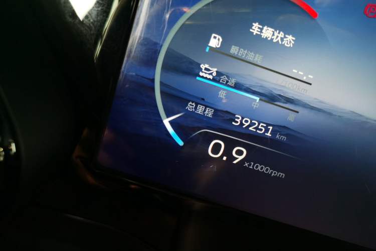 Used Geely Auto Monjaro L 2021 2.0TD DCT EVO Two-Wheel Drive Prestige Version Odometer Close Up