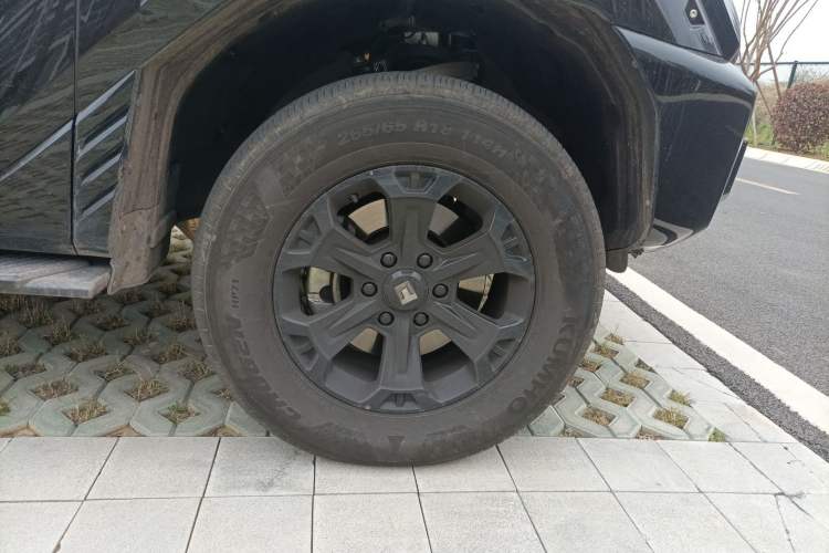 Used Tank 400 2025 2.0T Gasoline Version
