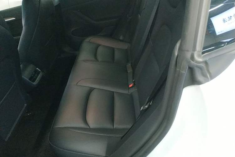 Used Tesla Model 3 2022 Rear-Wheel-Drive Version
