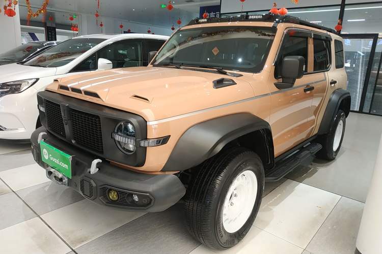 Used Tank 300 2024 2.0T Conqueror