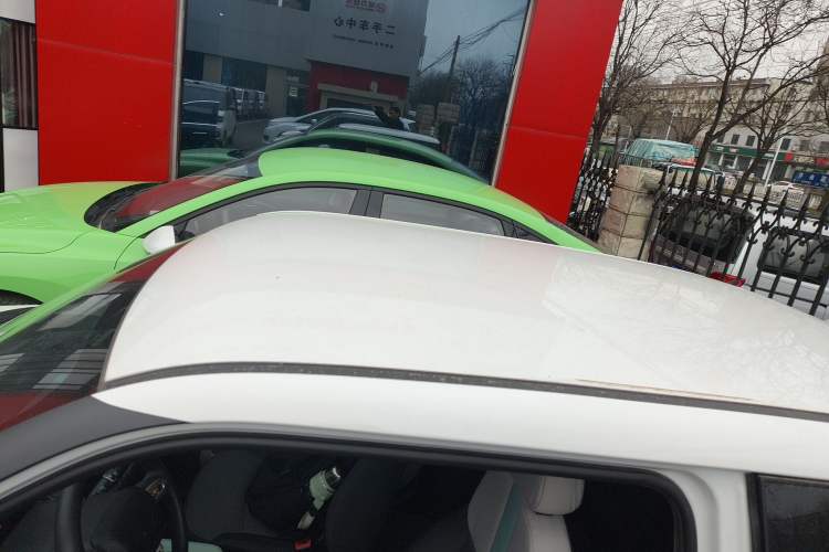 Used Qiyuan Lumin 2023 205km Xiangqin Version