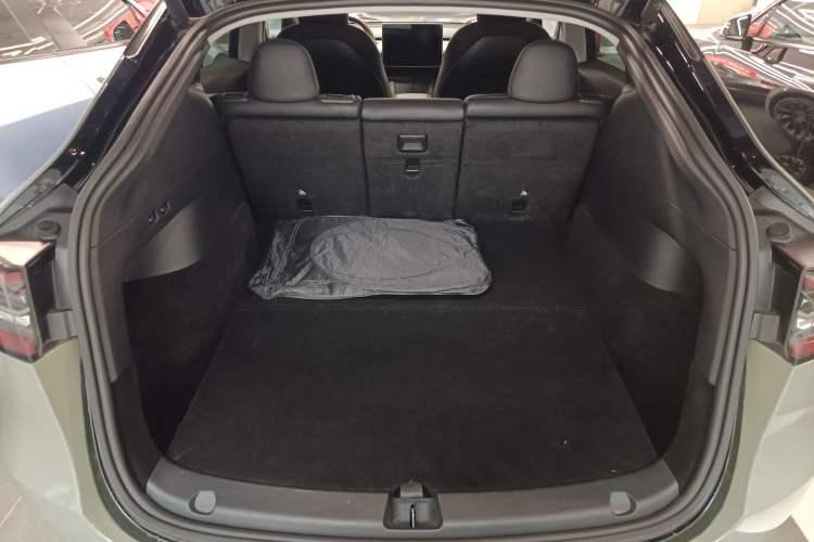 Used Tesla Model Y 2021 Standard Range Rear-Wheel Drive Version