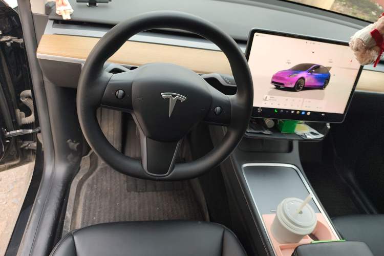 Used Tesla Model Y 2022 Rear-Wheel-Drive Version