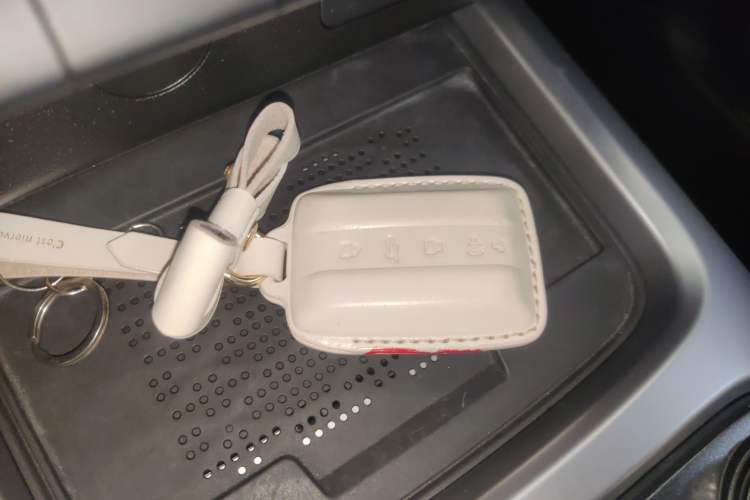 Used Tank 300 2024 2.0T Crosser