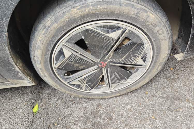 Used Rising ER6 2021 New Dynamic Edition 620km Smart Enjoyment Version