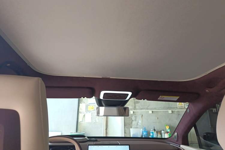 Used Zeekr X 2023 Rear-Drive YOU Edition 4 Seats Headliner