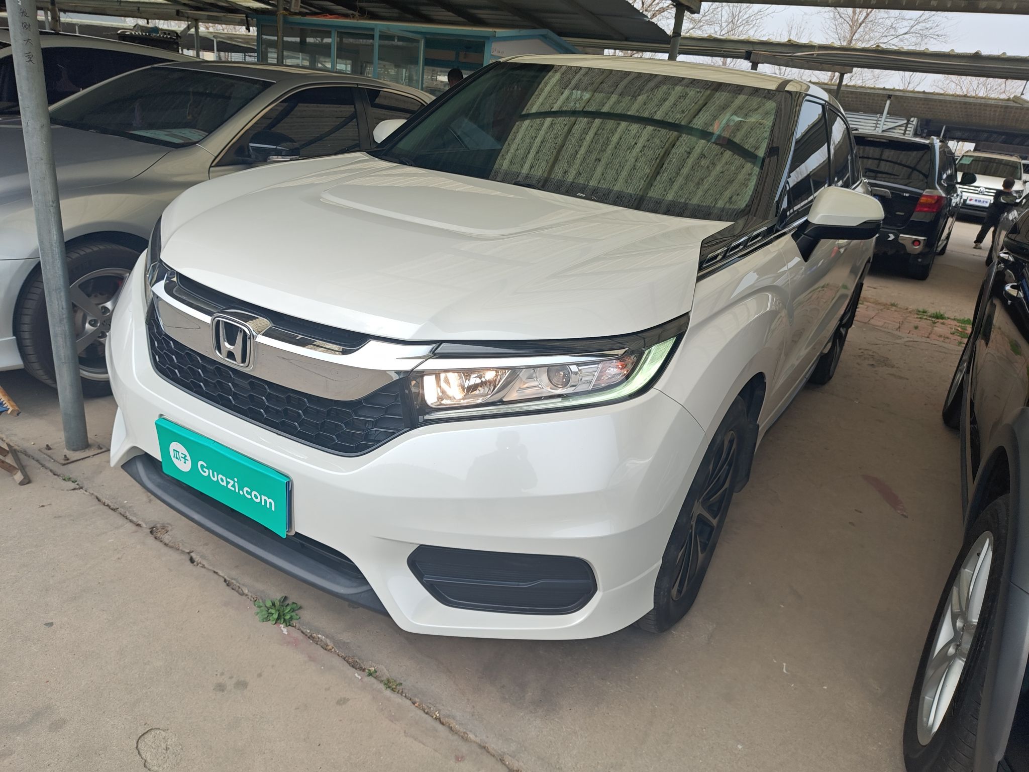 Parte inferior delantera