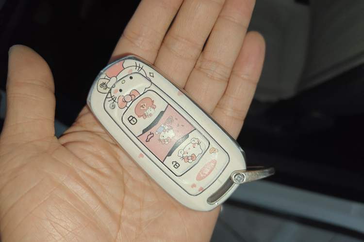 Used Geely Galaxy Panda 2025 210km Panda Rider