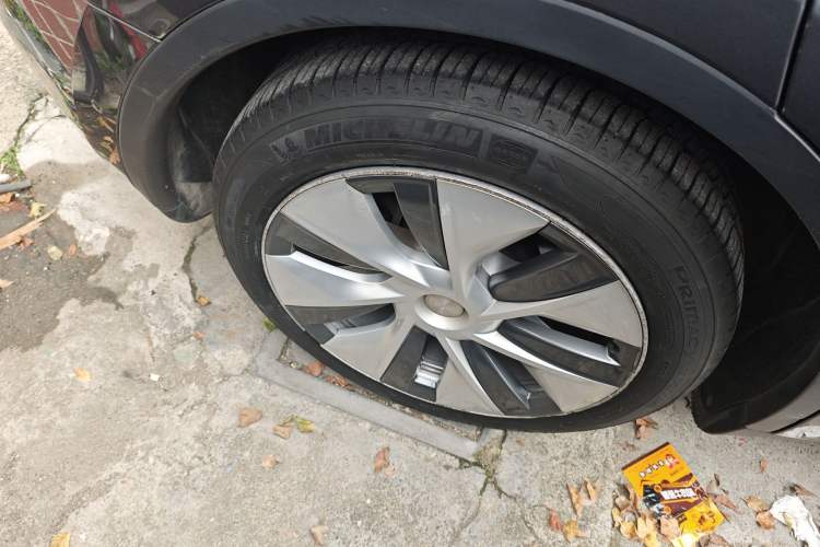 Used Tesla Model Y 2022 Revised Version Long-Range All-Wheel Drive Exterior 5