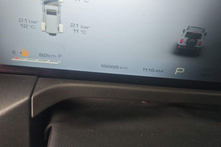 Used Tank 300 2024 2.0T Crosser
