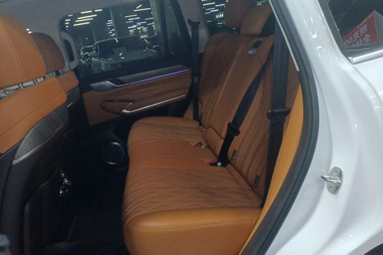 Used Tank 500 New Energy 2025 Hi4-Z Left Rear Seat