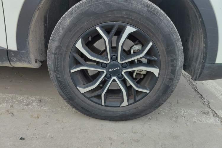 Used Haval H6 2023 National Trend Edition 1.5T Automatic Urban Version