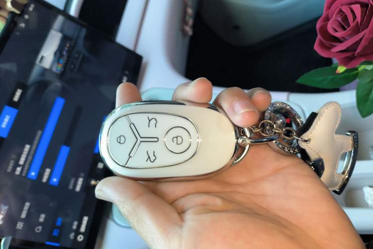 Used Geely Galaxy Geome 2025 310km Dream Edition