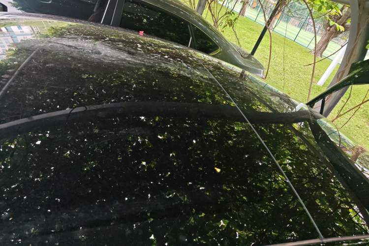 Used Tesla Model 3 2022 Rear-Wheel-Drive Version Roof