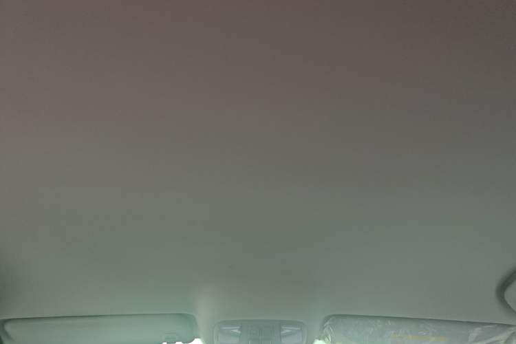 Used JAC Yiwei Aipao 2024 Airo Travel Edition 502