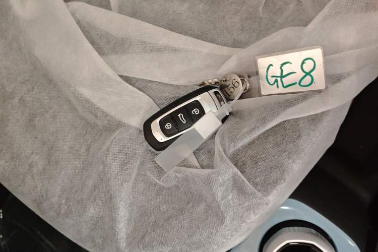 Used Geely Galaxy Panda 2024 Panda Mini 200km Endurance Bear Vehicle Key