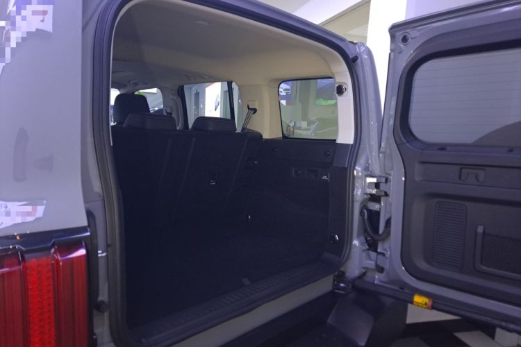 Used Tank 300 2024 2.0T Conqueror