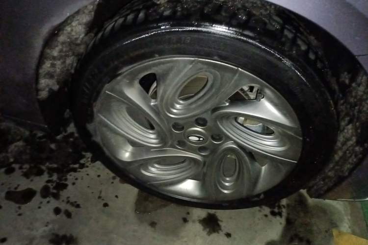 Used ORA Lightning Cat 2022 555 km Luxury Edition