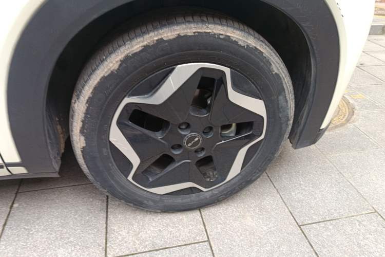 Used BYD Dolphin 2021 405 km Fashion Edition
