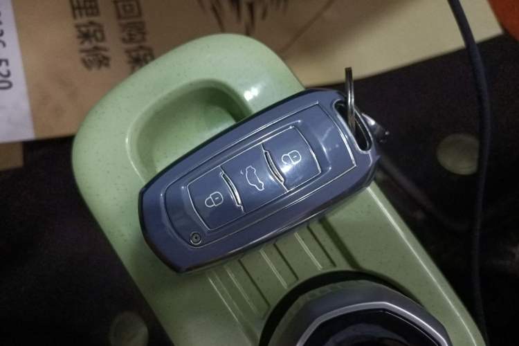 Used Geely Auto Panda 2023 Panda Mini 200km Endurance Bear