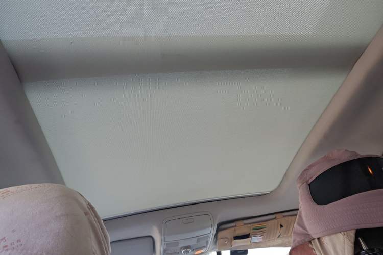 Used Volkswagen Tiguan 2010 2.0 TSI Automatic All-Wheel-Drive Elite Edition Headliner