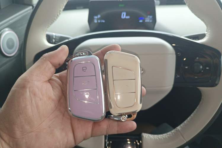 Used Chery New Energy Little Ant 2024 Facelifted 321km Beloved Edition