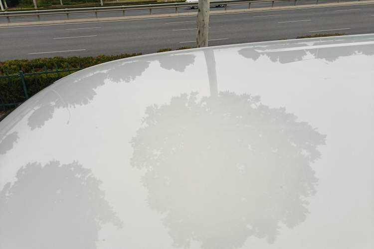 Used Oshan A600EV 2019 Revised Version 6 Seats