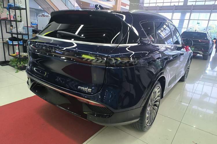 Used VOYAH FREE 2021 Four-Wheel Drive Standard Range-Extended Exclusive Luxury Package
