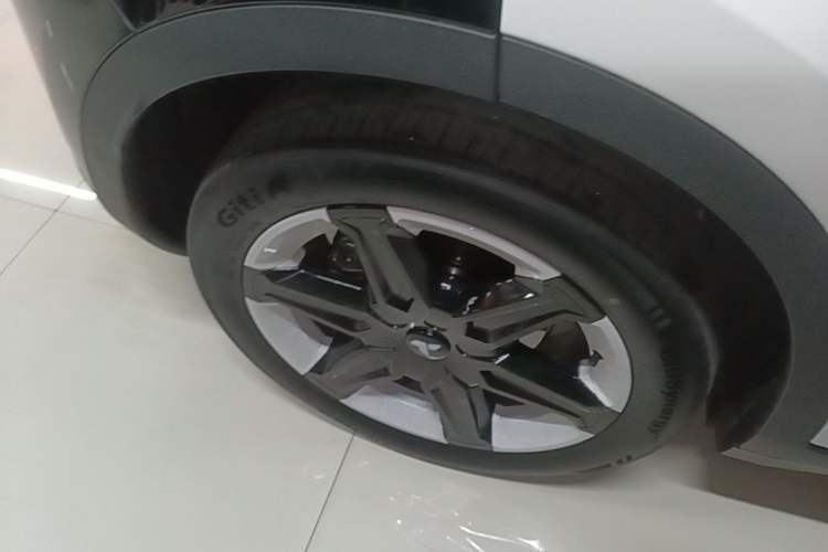 Used firefly 2025 Illuminated Edition