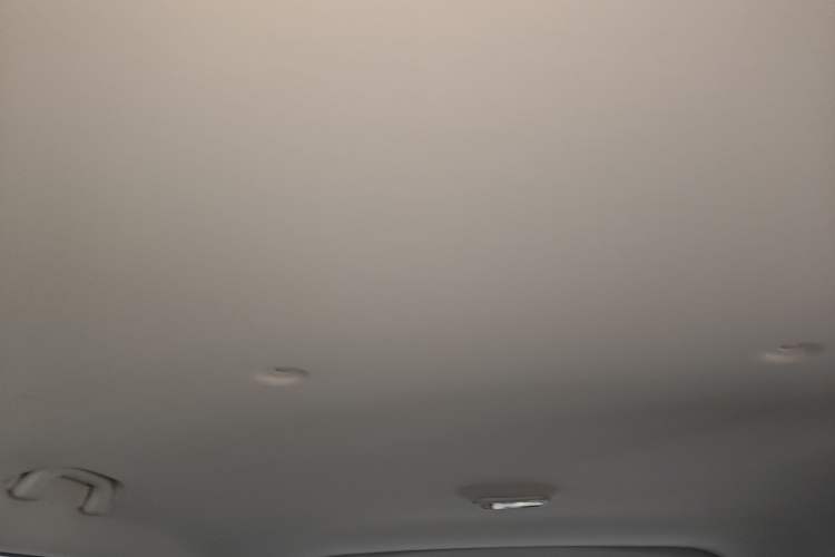 Used FORTHING Lingzhi PLUS 2021 Travel Edition 2.0L Manual Luxury 7-Seater