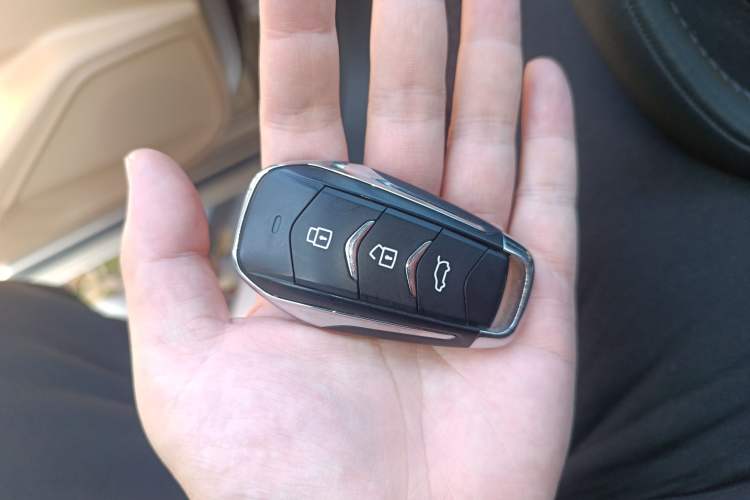 Used Landian E5 2023 1.5L DE-i 110KM Flagship 7-Seater