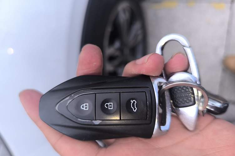 Used Leopaard CS9 New Energy 2018 EV300 Elite Edition
