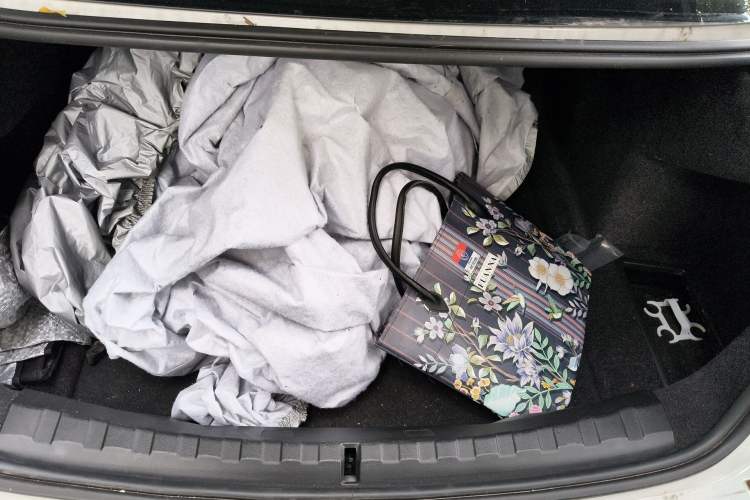 Used BMW 3 Series 2020 320Li M Sport Package Trunk