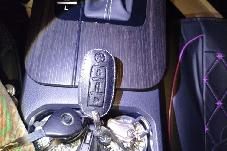 Used Venucia D60 2023 PLUS 1.6L XL CVT Yue Ling Edition