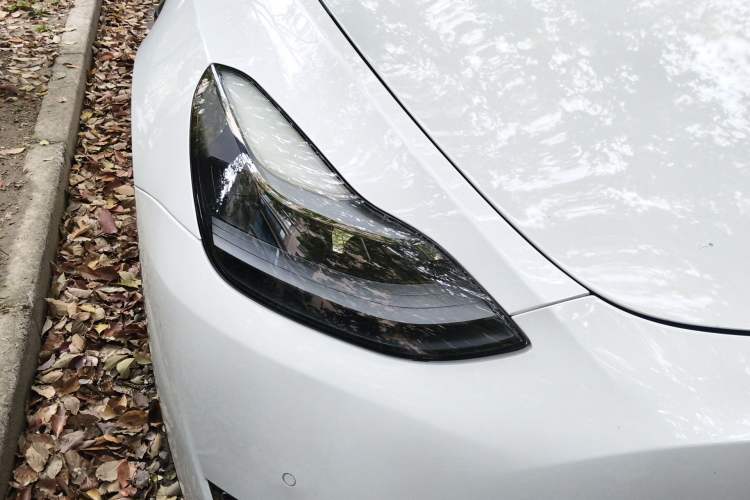 Used Tesla Model Y 2021 Standard Range Rear-Wheel Drive Version
