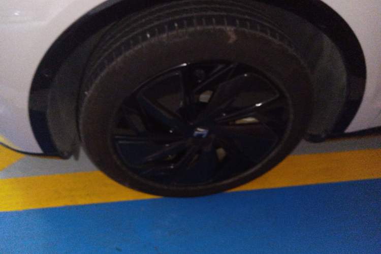 Used Rising R7 2024 Advanced Edition