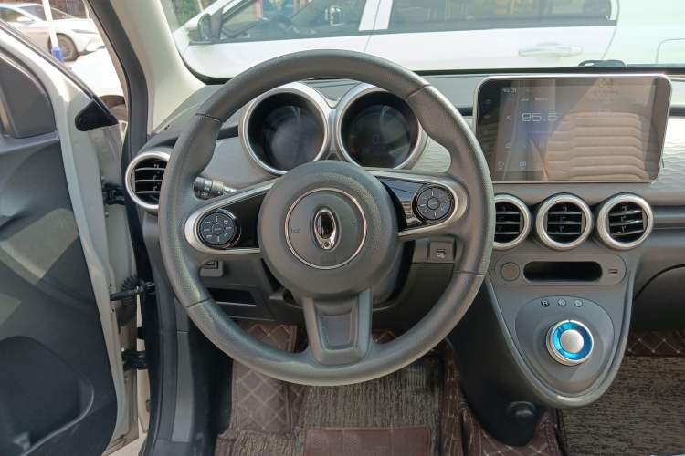 Used ORA Black Cat 2019 301km Standard Edition Steering Wheel