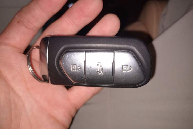 Used VOYAH FREE 2021 Four-Wheel Drive Standard Range-Extended Exclusive Luxury Package
