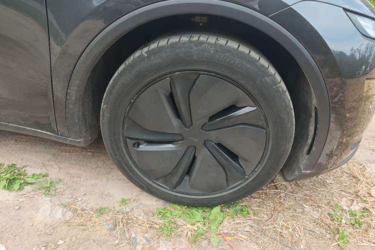 Used Tesla Model Y 2025 Long-Range All-Wheel Drive First Edition
