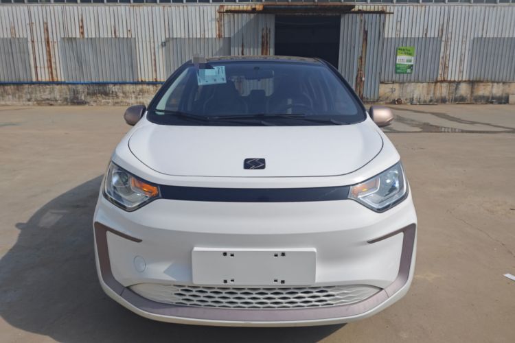 Used SOL E10X 2022 Flower Fairy Style Baby's Breath Front