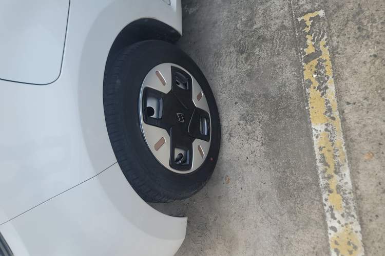 Used SOL E10X 2022 Flower Fairy Design Dandelion