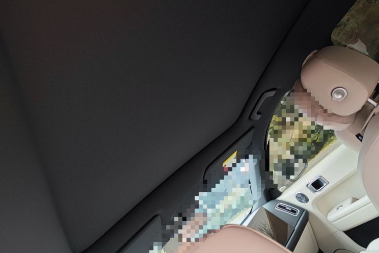 Used Li Auto L6 2025 Max Smart Refresh Edition Headliner