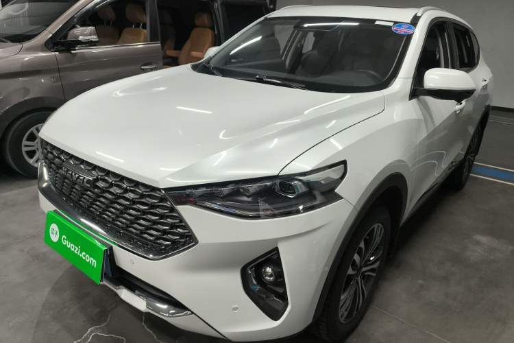 Used Haval F7 2020 2.0T Two-Wheel Drive i-Van