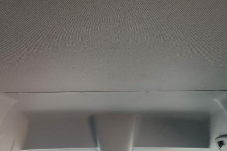 Used Farizon Super VAN 
