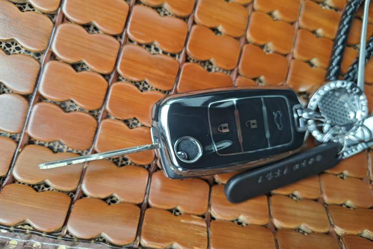 Used FORTHING SX6 2021 1.6L Manual Global Anniversary Edition