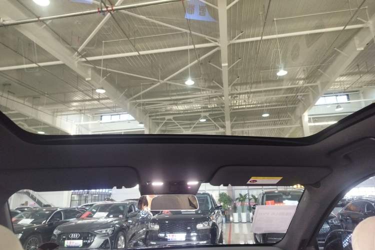 Used Li Auto L6 2024 Pro Model Headliner